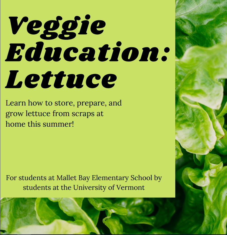 veggie education lettuce.PNG